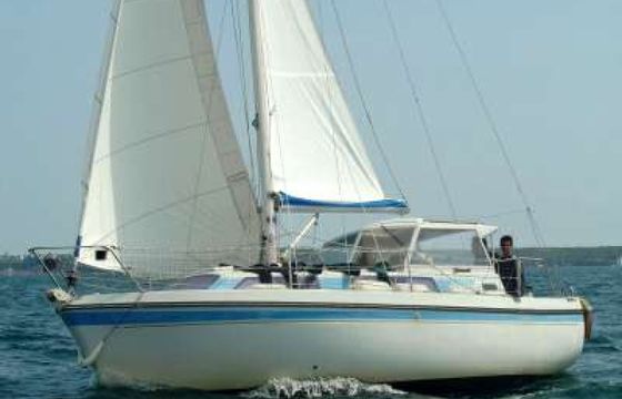 Kirie Fifty 24