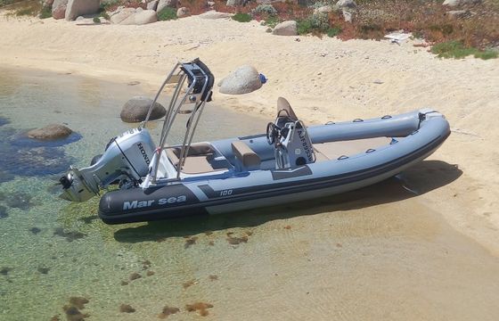 Marsea CM 100