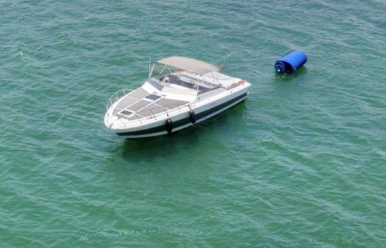 Sirena 42