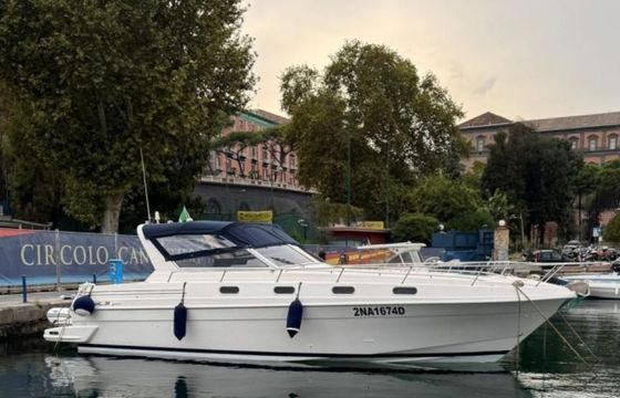 Fiart 35 Genius