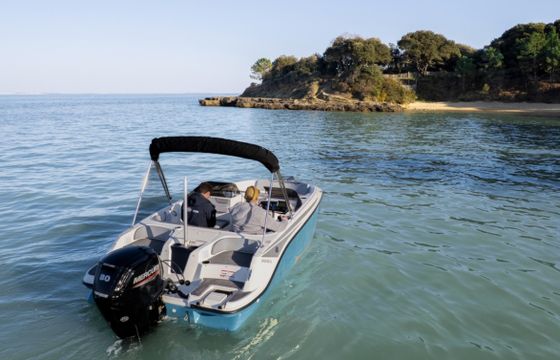 Bayliner ELEMENT M17