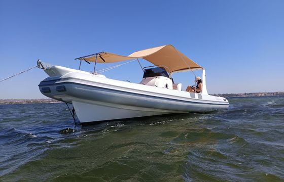 Colbac Shark