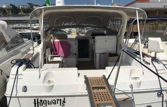 Fiart 35 Genius
