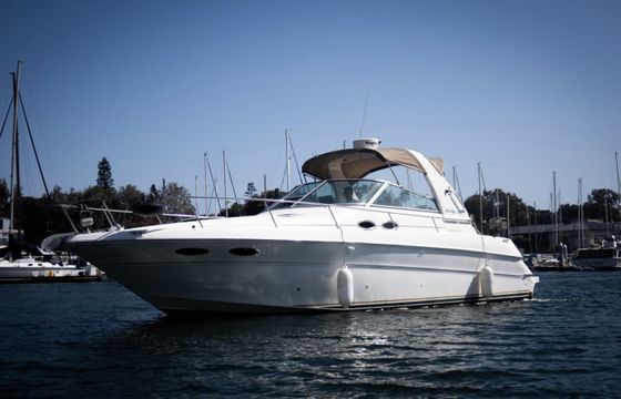 Sea Ray Sundancer