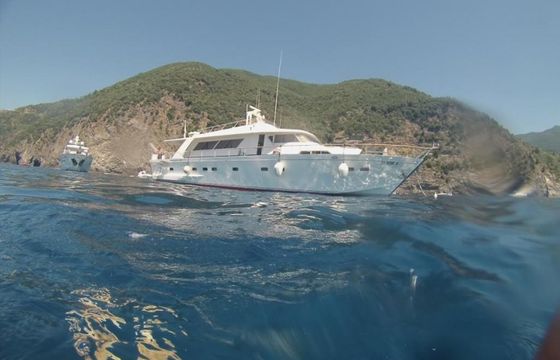 Cantieri Di Pisa Pegasus 24