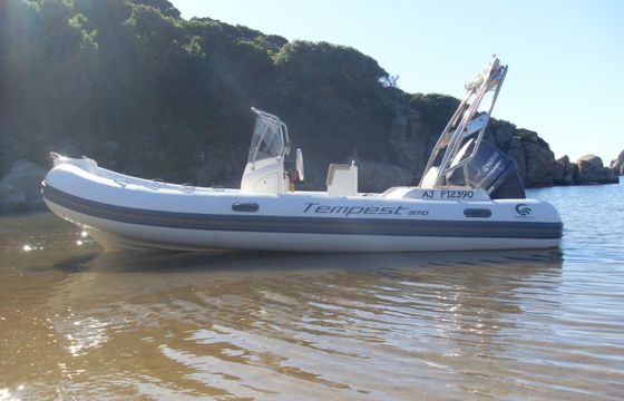Capelli 570 Luxe