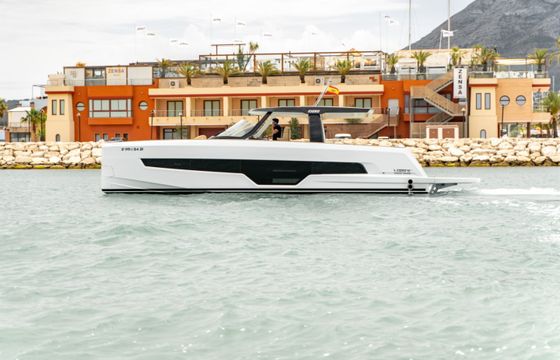 Fjord 41