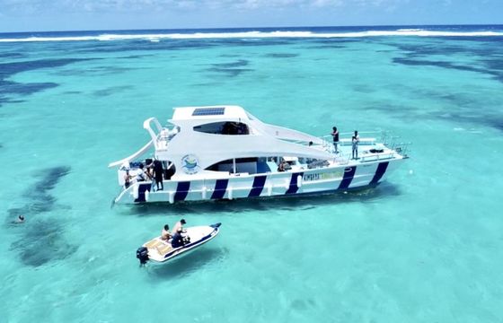 Sea Ray Amberjack 290