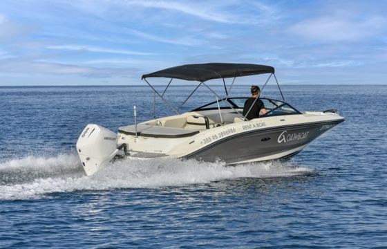 Sea Ray SPX 210 OB