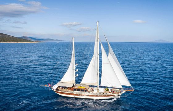 Custom Estrella De Mar