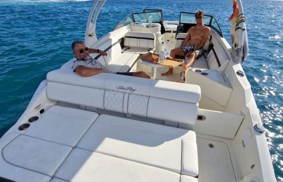 Sea Ray SDX 270