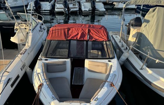 Bowrider Vision 1750 IB