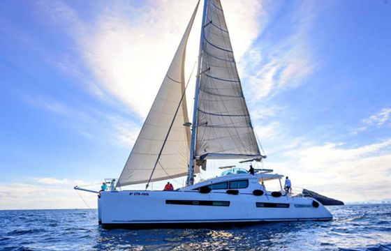 Alliaura-Marine Privilege 615
