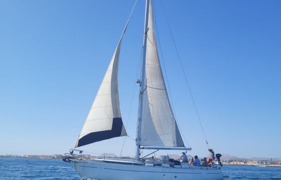 Westwind 37