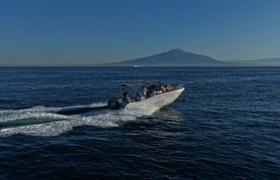 Allegra 21