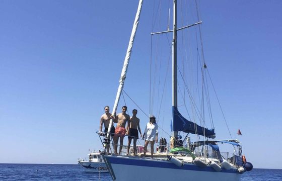 Wauquiez Centurion 41