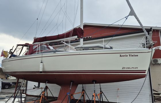 Delphia 37