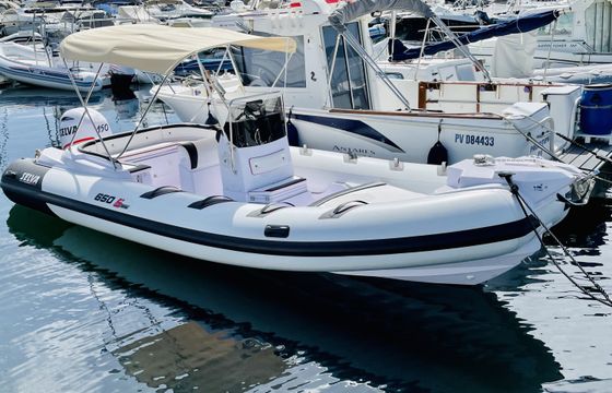 Selva 6.5 family