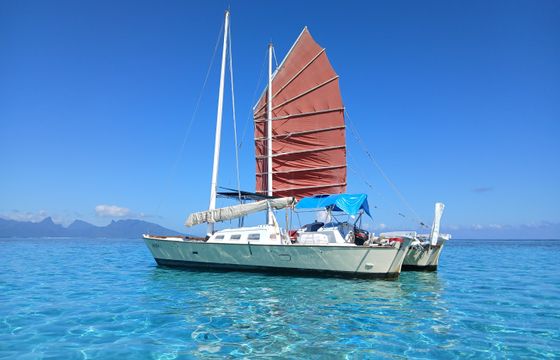 Wharram Tiki 38
