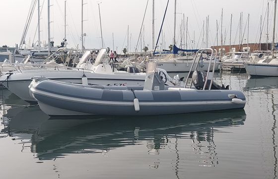 Bwa 550 Pro