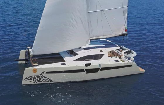 C-CATAMARANS C CAT 48
