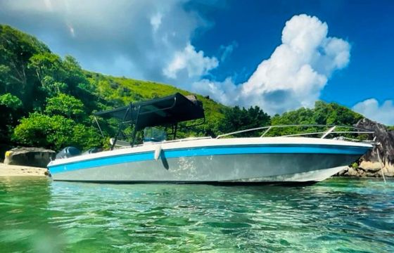 Wellcraft Scarab 302 Sport