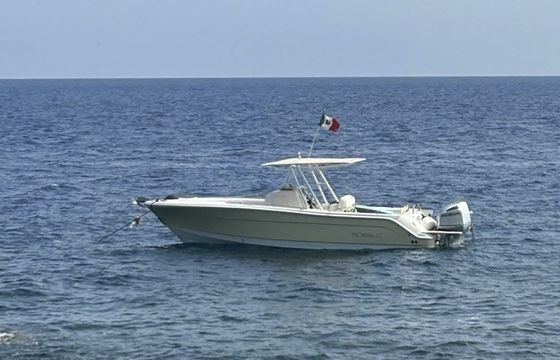Robalo R30
