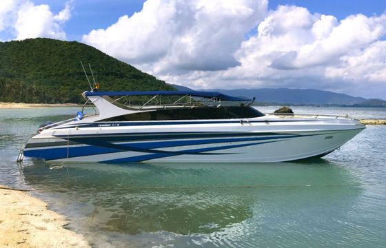 Custom Made Motorboat