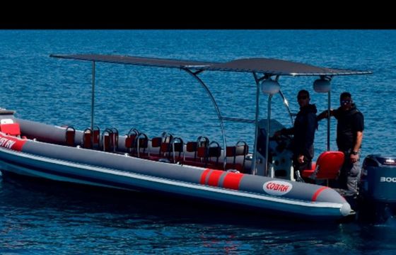 Cobra 38