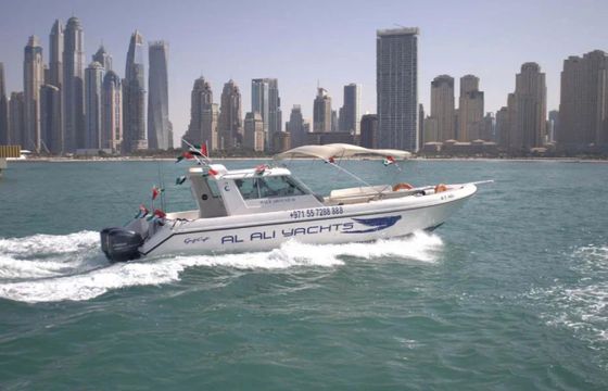 AL ALI 36