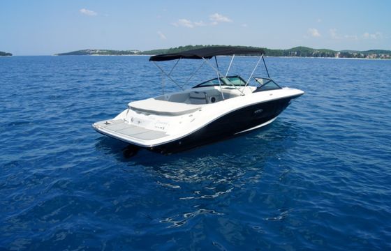 Sea Ray SPX 210