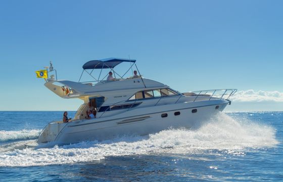 Princess 440