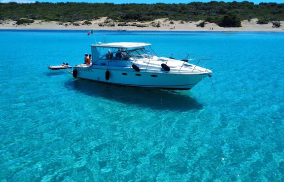 Sea Ray 340 Express Cruiser