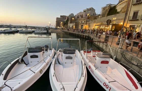 Tancredi Blumax