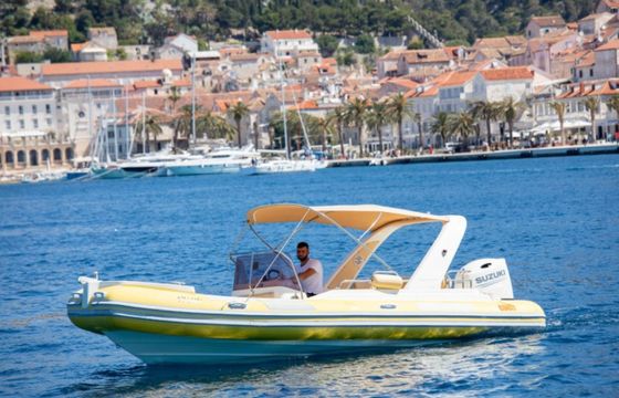 Barracuda 23