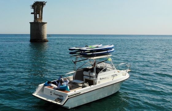 Rodman 790