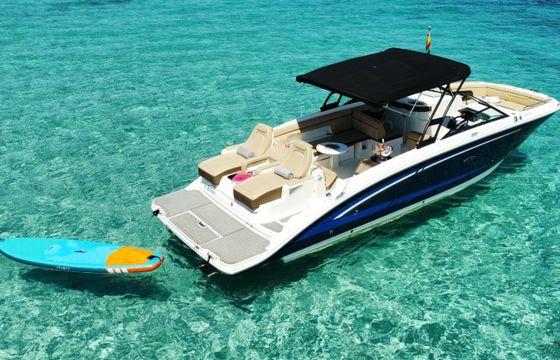 Sea Ray SDX 290