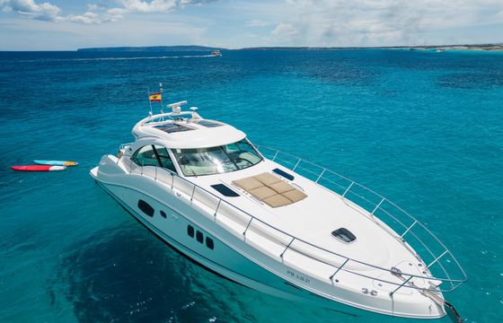 Sea Ray 55