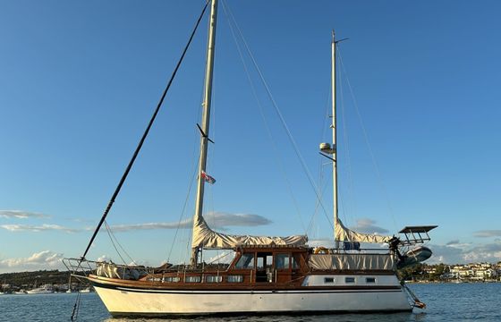 Seafinn 43