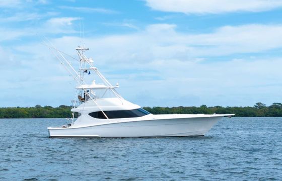 Hatteras Steel Grove