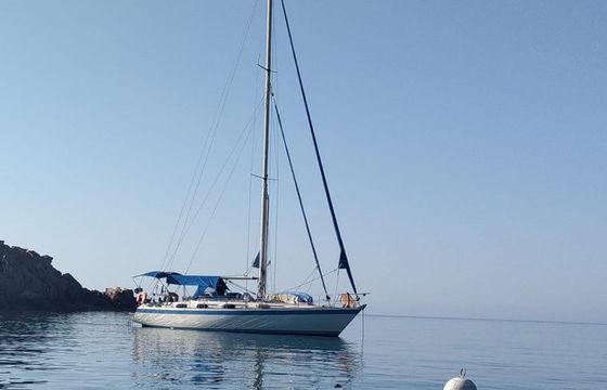 Wauquiez Centurion 42