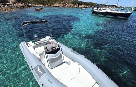 Marsea Comfort 100