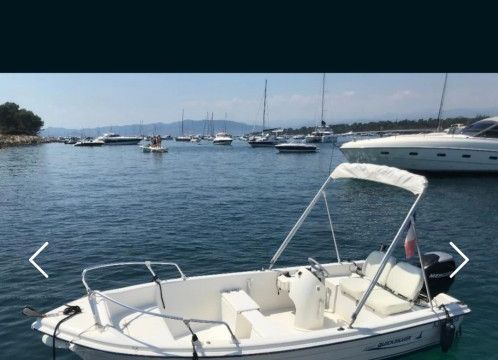 Quicksilver 440 fish