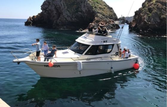 Rodman 1170