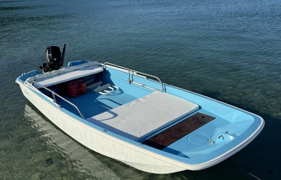 Boston Whaler 13