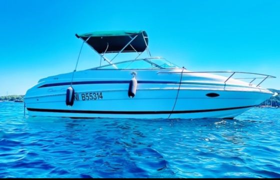 Chris Craft 245 Cuddy Cabin