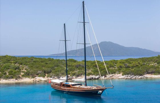 Custom Gulet-Motor Sailor PERFORMANCE FEE