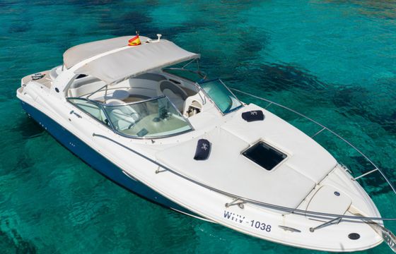 Sea Ray 295