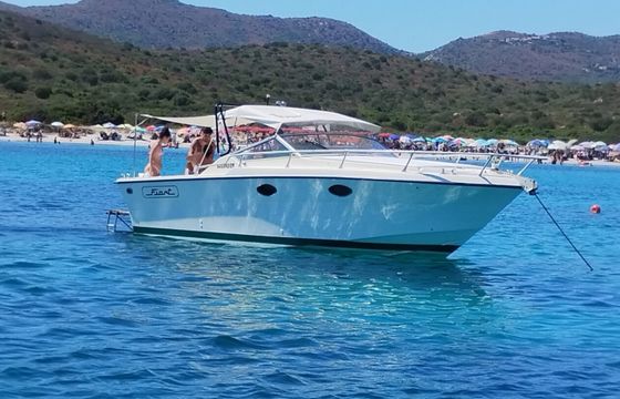 Fiart Thunder 28