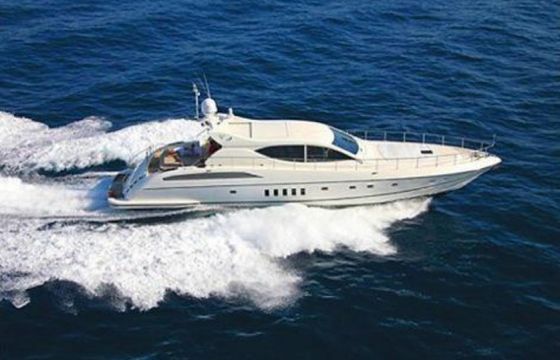 Arno Leopard Leopard 24